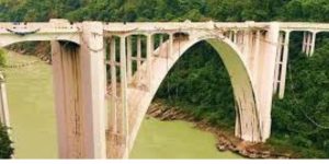 সেবক করোনেশন ব্রিজ থেকে তিস্তায় ঝাঁপ দিয়ে আত্মহত্যা বিএলওর