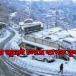 snow fall news1