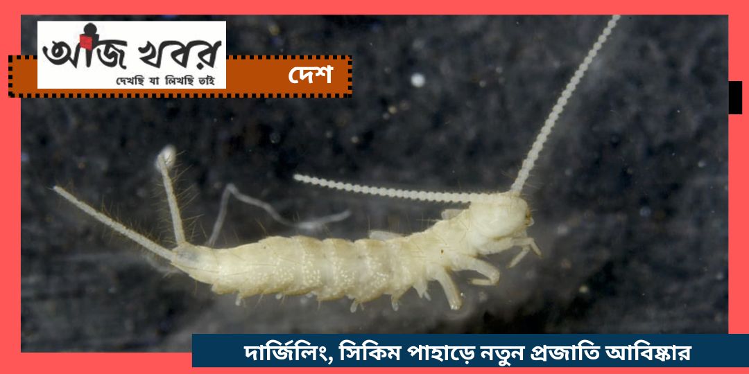 দার্জিলিং, সিকিম পাহাড়ে নতুন প্রজাতি আবিষ্কার