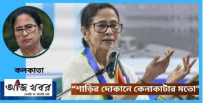 শাড়ির দোকানে কেনাকাটার মতো"—আবগারি শুল্ক কমানোয় কেন্দ্রকে কটাক্ষ মমতার
