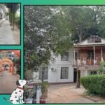 পোষ্য সারমেয়দের নিয়ে বেড়াতে যাওয়ার নিরাপদ ঠিকানা বহরমপুরের সমৃদ্ধি ট্রি হাউস রিসর্ট 1 tree news1