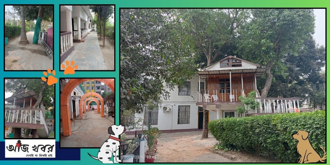 পোষ্য সারমেয়দের নিয়ে বেড়াতে যাওয়ার নিরাপদ ঠিকানা বহরমপুরের সমৃদ্ধি ট্রি হাউস রিসর্ট