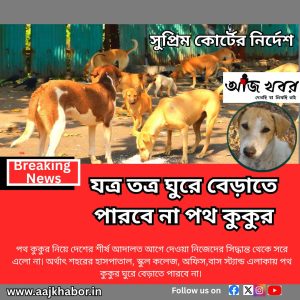 যত্র তত্র ঘুরে বেড়াতে পারবে না পথ কুকুর