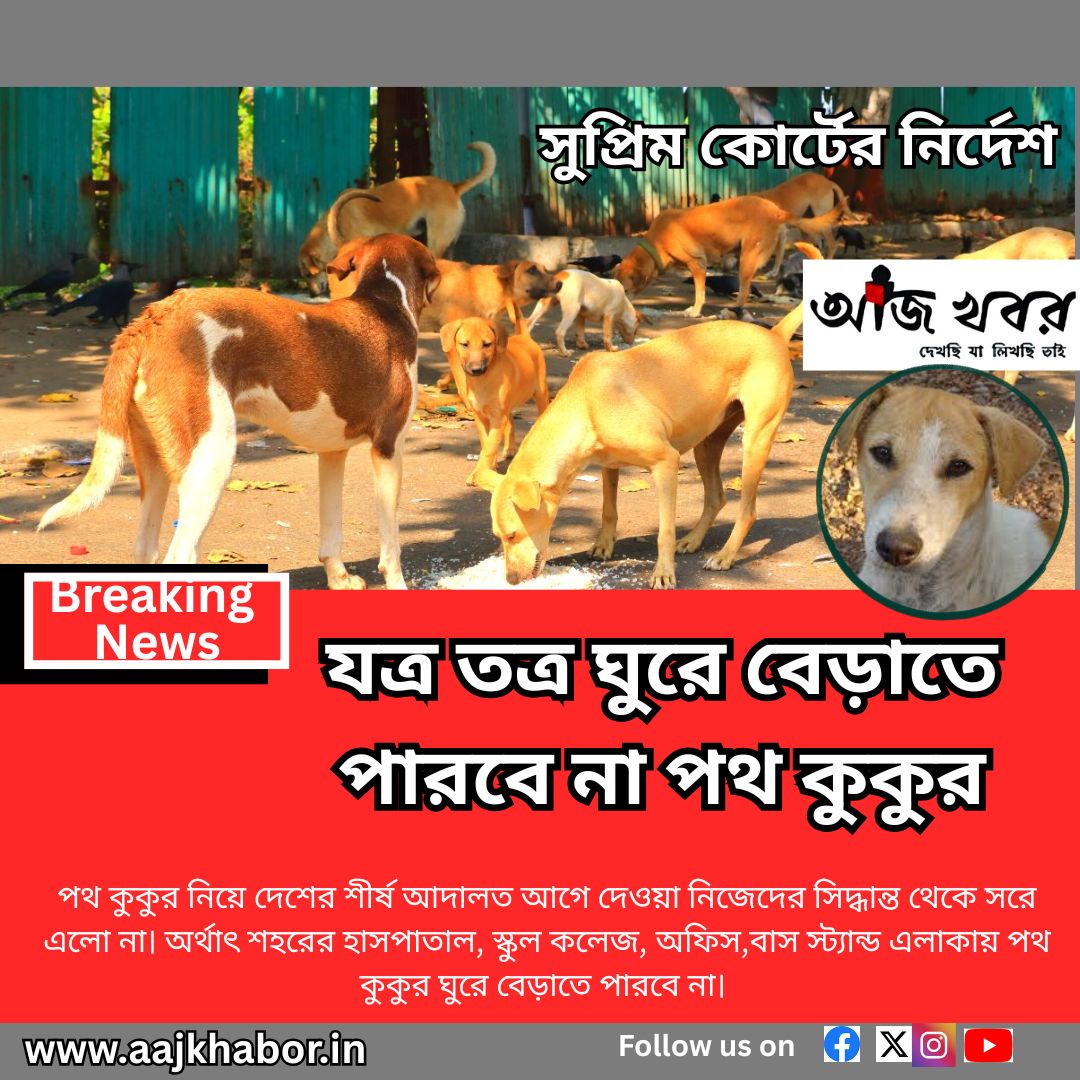 যত্র তত্র ঘুরে বেড়াতে পারবে না পথ কুকুর