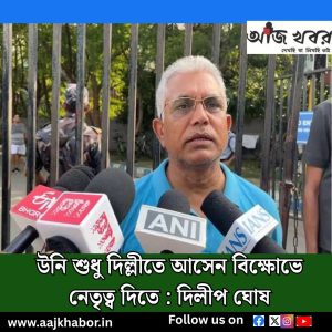 উনি শুধু দিল্লীতে আসেন বিক্ষোভে নেতৃত্ব দিতে : দিলীপ ঘোষ 