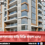 house news canva edit