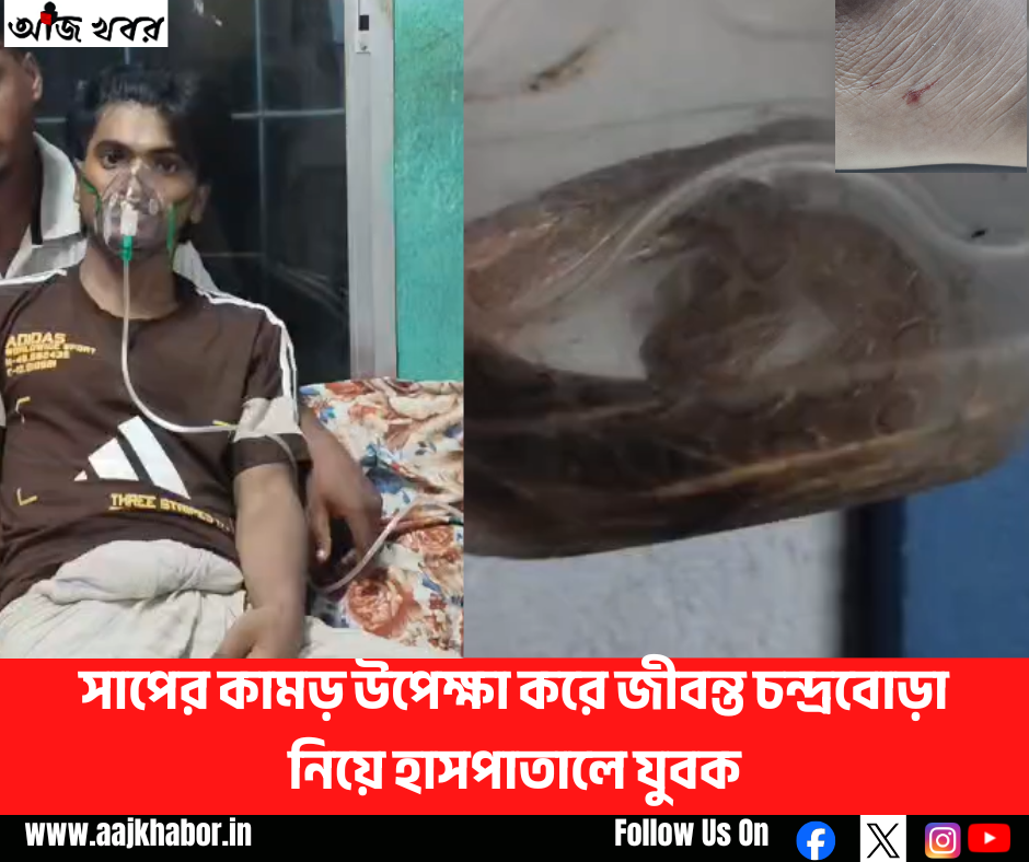 সাপের কামড় উপেক্ষা করে জীবন্ত চন্দ্রবোড়া নিয়ে হাসপাতালে যুবক