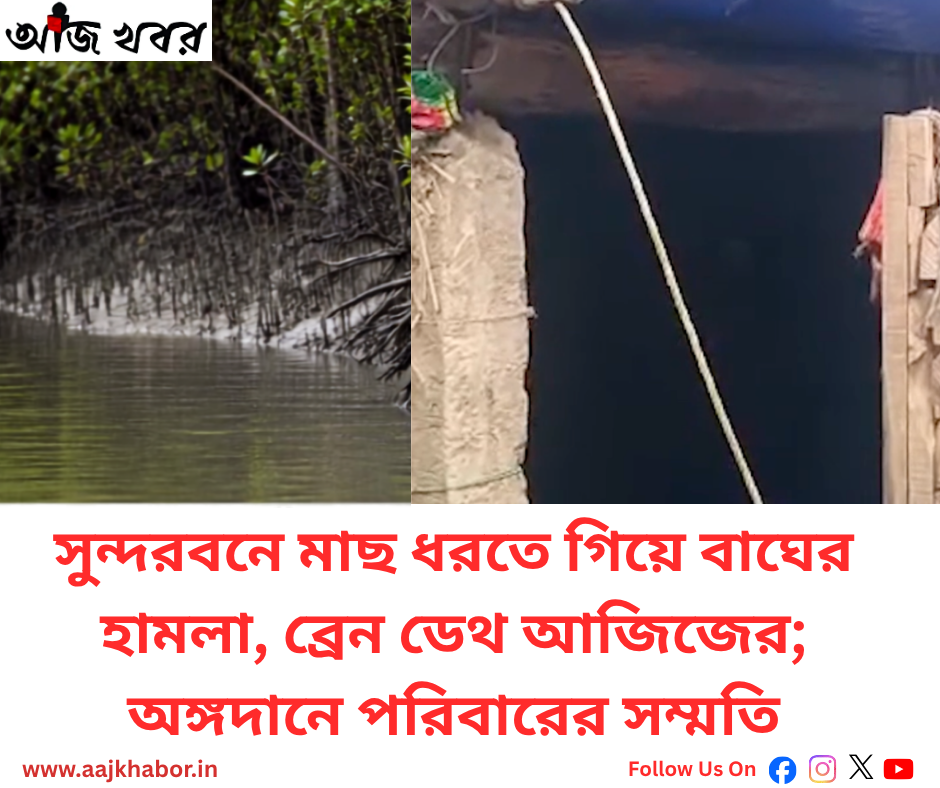 সুন্দরবনে বাঘের হামলায় ব্রেন ডেথ আজিজ, অঙ্গদানে পরিবারের সম্মতি