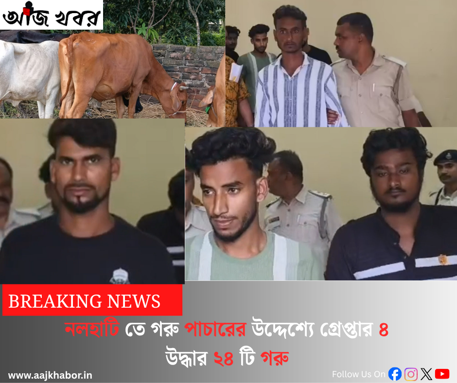 নলহাটি তে গরু পাচারের উদ্দেশ্যে গ্রেপ্তার ৪, উদ্ধার ২৪ টি গরু
