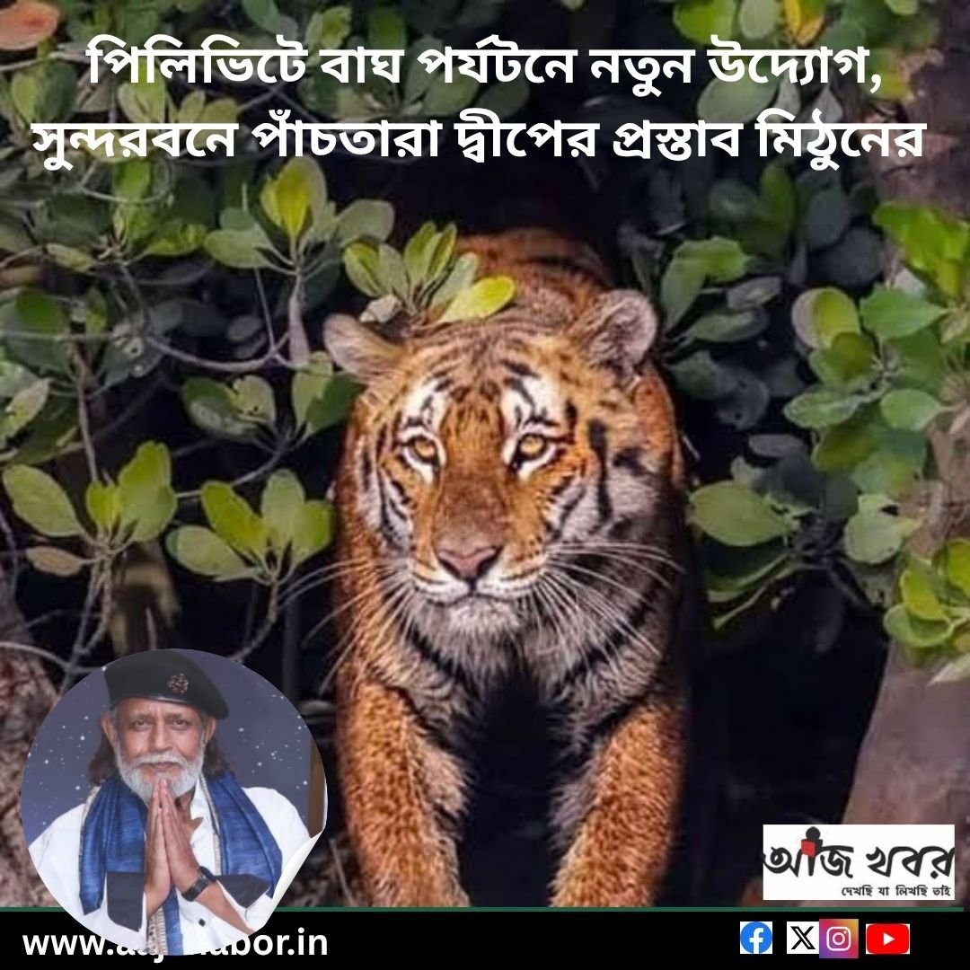 পিলিভিটে বাঘ পর্যটনে নতুন উদ্যোগ, সুন্দরবনে পাঁচতারা দ্বীপের প্রস্তাব মিঠুনের