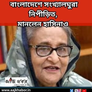 বাংলাদেশে সংখ্যালঘুরা নিপীড়িত, মানলেন হাসিনাও 
