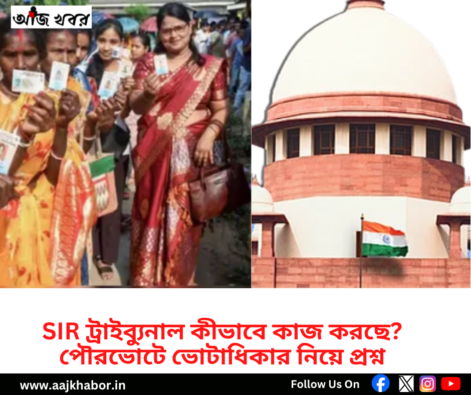 SIR ট্রাইব্যুনাল কীভাবে কাজ করছে? পৌরভোটে ভোটাধিকার নিয়ে প্রশ্ন